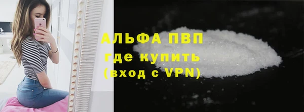 гашик Нефтекумск