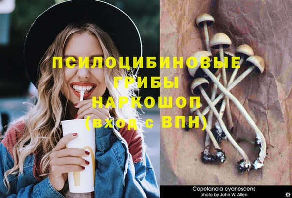 мескалин Бронницы
