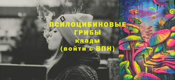 гашик Нефтекумск