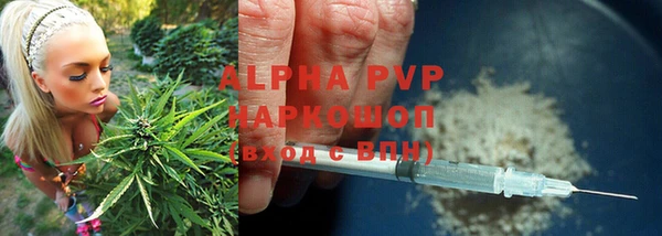спиды Нефтегорск