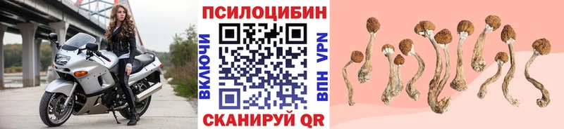 что такое наркотик  Кизел  Галлюциногенные грибы мицелий 